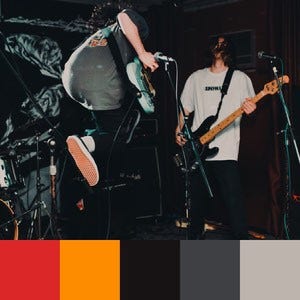 A color palette created from an image of two guitarists – one with a black and orange-brown guitar – wearing grey, black, and white
