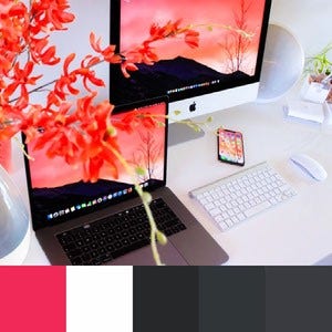 A color palette created from an image of a two computers sitting on a white desk with desktop images of a pink sunset against silhouetted mountains
