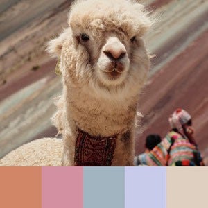 A color palette created from an image of a close up of a lama with colorful mountains in the background