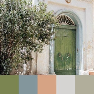 A color palette created from an image of a beige building with a green door and a green plant