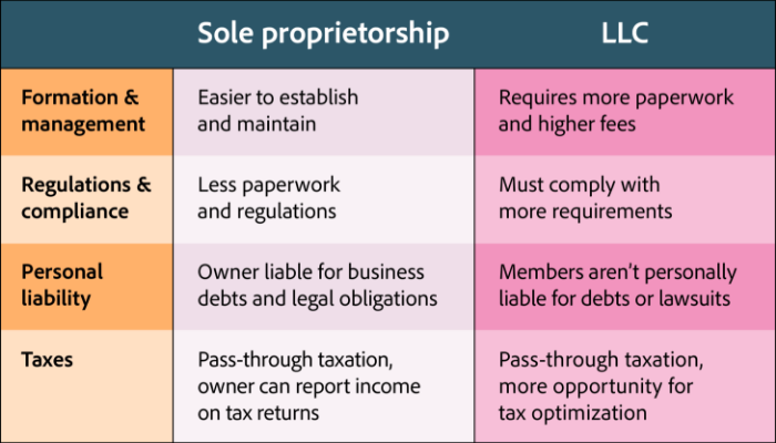 An illustrated chart shows the differences between sole proprietorship and an LLC.