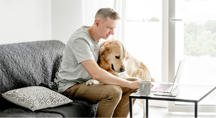 A man sits on a couch with his dog, looking at a laptop.