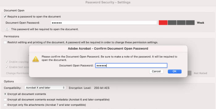 The screen shows the Document Open Password being filled in