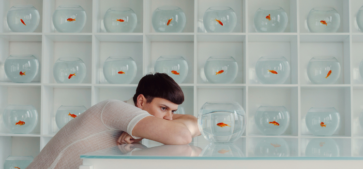 A symbolic photo of a person sitting at a table looking at a goldfish in a glass bowl on a table with other goldfish in glass bowls on shelves in the background