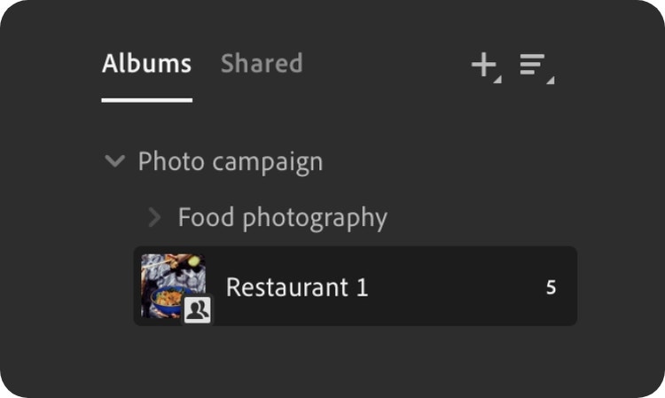 Lightroom UI showing album organization