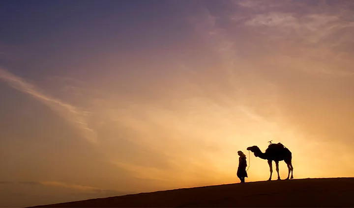 The silhouette of a person and their camel in the desert