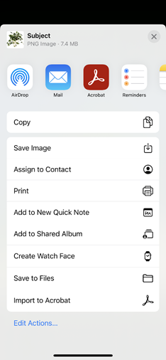 how-to-convert-a-photo-to-a-pdf-on-your-iphone-adobe-acrobat