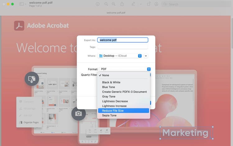 Screenshot of PDF open in Preview on Mac with Reduce File Size highlighted