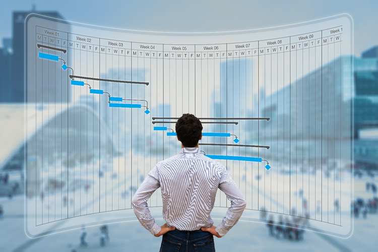 Photo of a man looking at large Gant chart showing the tracking of time and deliverables, superimposed over a city background.