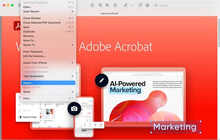 Screenshot of PDF open in Preview on Mac with Export highlighted