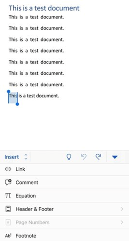 Screenshot of link option in Word document on iPhone.