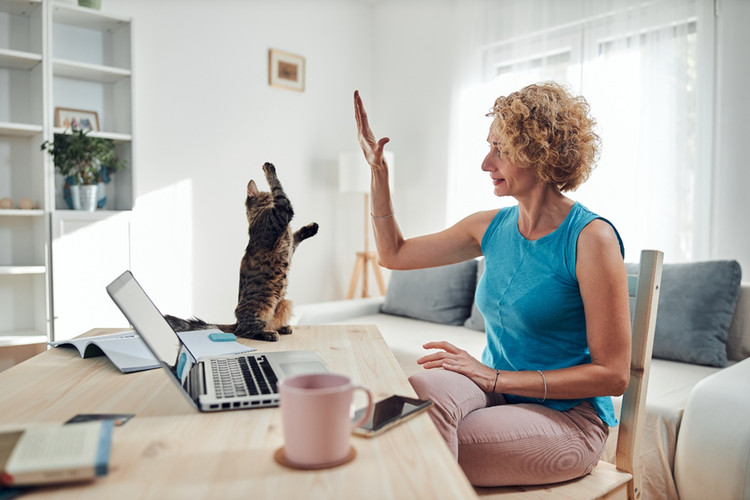 Photo of a woman sitting at a home desk working on a laptop and playing with a cat.