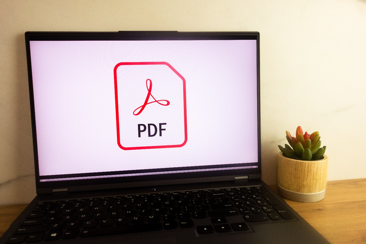 PDF file log displayed on a laptop sitting on a desk with a potted plant.