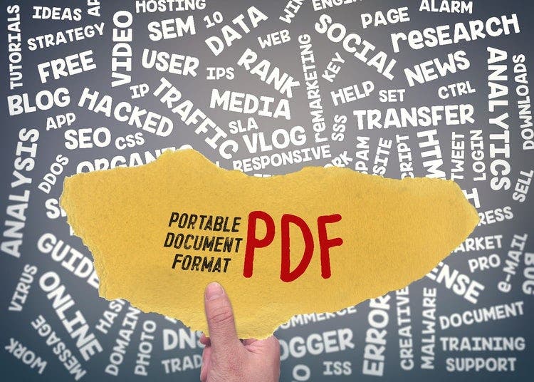 The words "Portable document format, PDF". The background is various words, such as online, document, training support, news, research, rank, traffic, user, tutorials, SEO, guide.