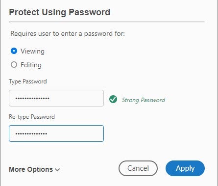 Screenshot of password protection options on adobe reader.