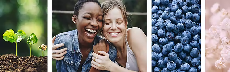 A collage of multiple photos next to each other: a plant growing from dirt, two people embracing each other, a pile of blueberries and a flower