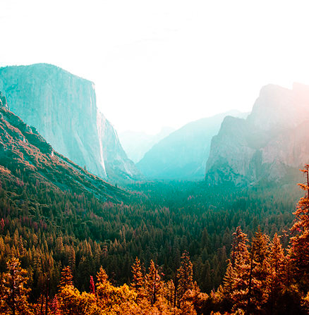 Sunlit landscape image of a forest valley leading to distant mountains