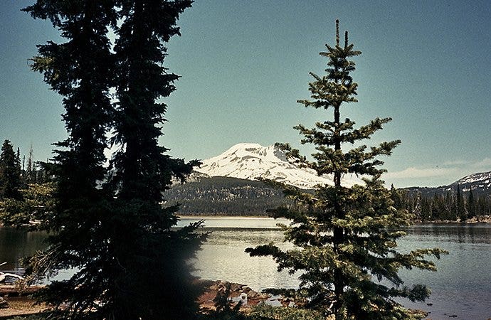 Photo of trees in front of a mountain range taken by a film camera