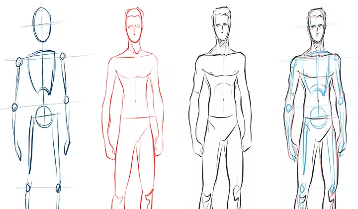 Différents croquis d’individus côte à côte illustrant la progression du dessin d’une personne