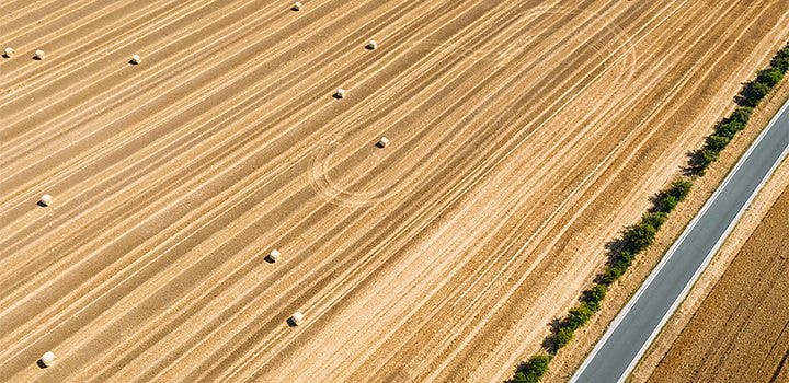 A road running through a field