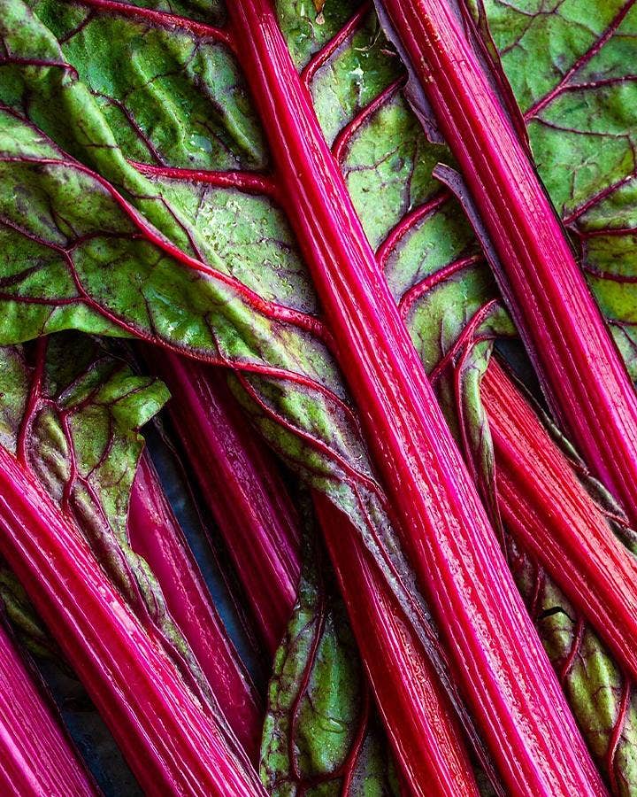 A highly saturated close-up photo of rhubarb stems and leaves