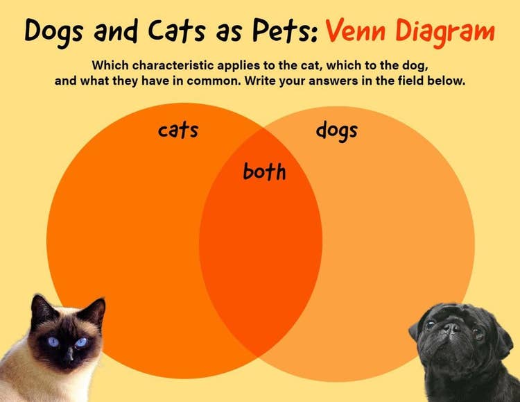 Orange Yellow Simple Venn Diagram Template Graphic Organizer