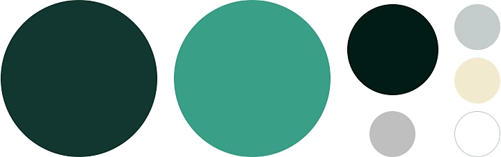 Circles of different colors for a logo color palette