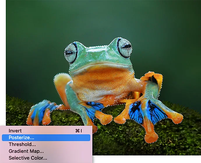 An image of a frog sitting on a stick with the Adobe Photoshop select menu superimposed over it