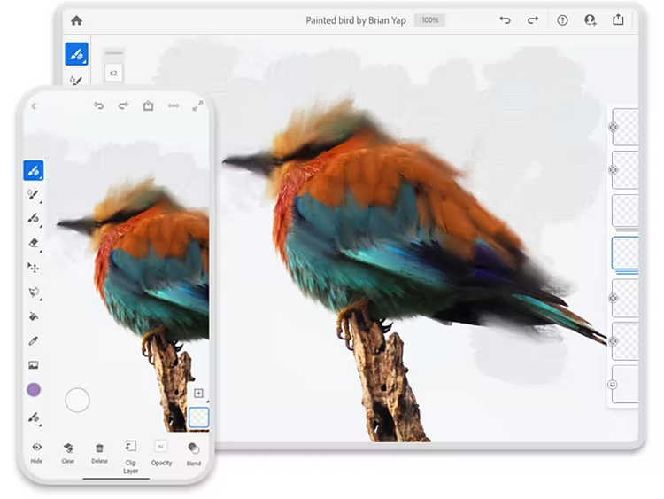 Illustration of a fluffy bird being edited in Adobe apps