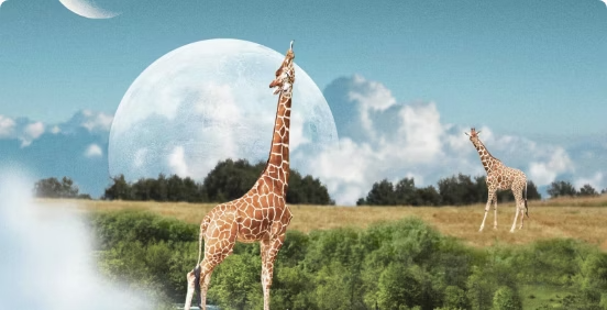 Two giraffes with clouds and two moons in the background