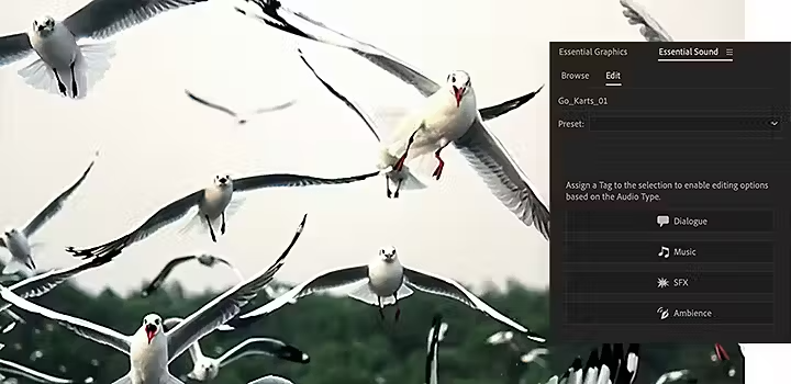 Pannello Audio essenziale di Adobe Premiere Pro che mostra l’editing di un effetto sonoro sovrapposto a un’immagine di gabbiani in volo.