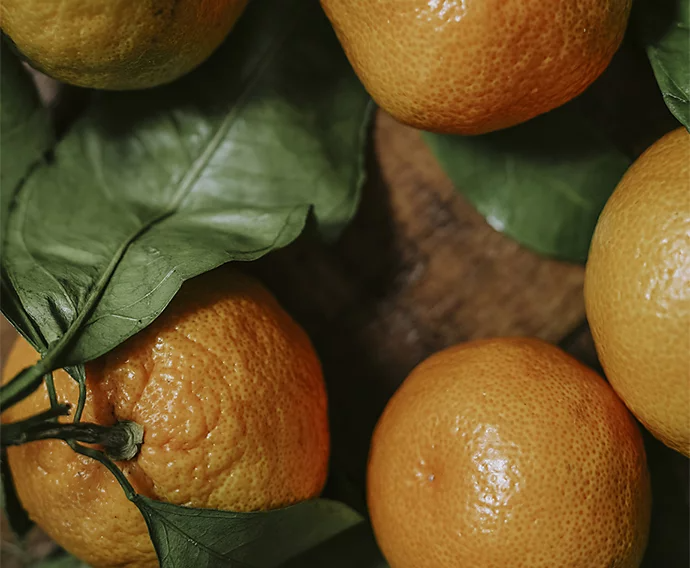 A close - up photo of a bundle of orange.