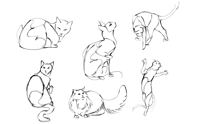 drawing cat poses