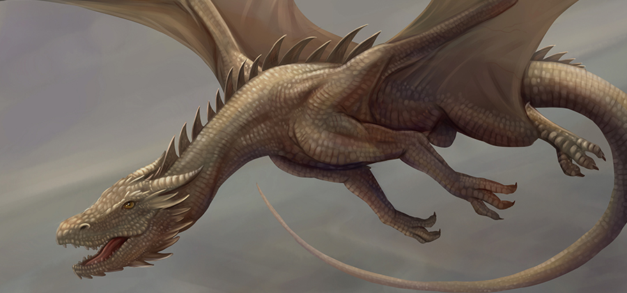 realistic full body dragon drawing