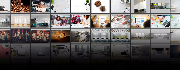 How To Use Adobe Stock With Creative Cloud Libraries - Creative Studio