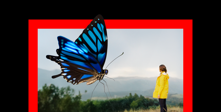 A large butterfly and a woman in a rain jacket
