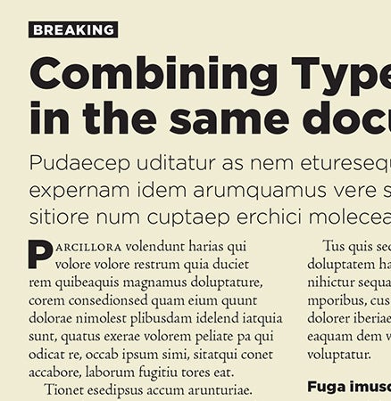 Newspaper article mockup using serif and sans serif fonts and a strong, bold font style.