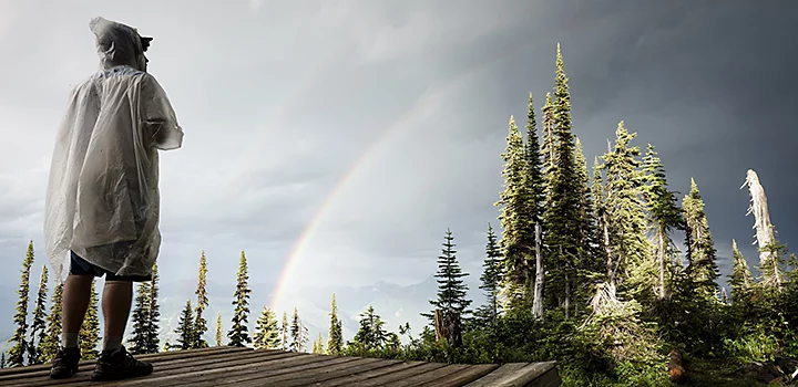 A person wearing a poncho, standing on a wood deck, staring at a rainbow in the forest.