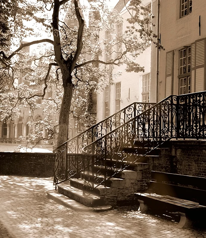 A sepia photo of a blossoming tree behind a wrought iron handrail