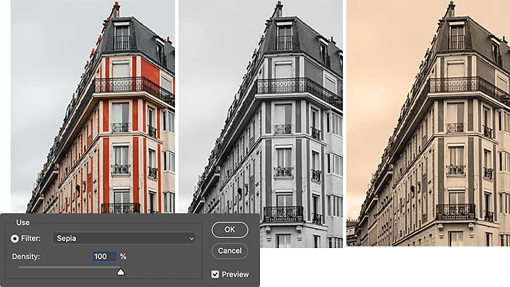 Using a sepia filter to adjust the color of a digital photograph