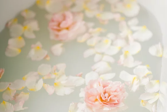 A photo of flower petals floating in a milk bath.