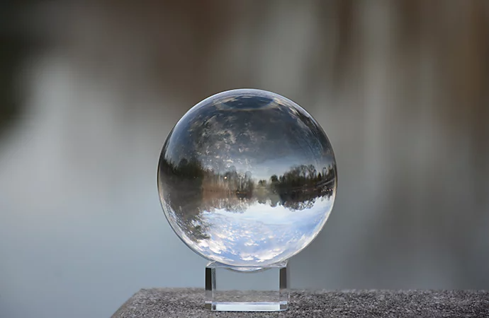 A lensball that is capturing a lake and forest environment