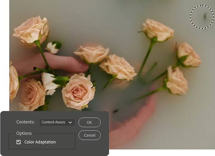 Content-Aware Fill tool superimposed on a photo of a person's hands holding flowers in a milk bath.