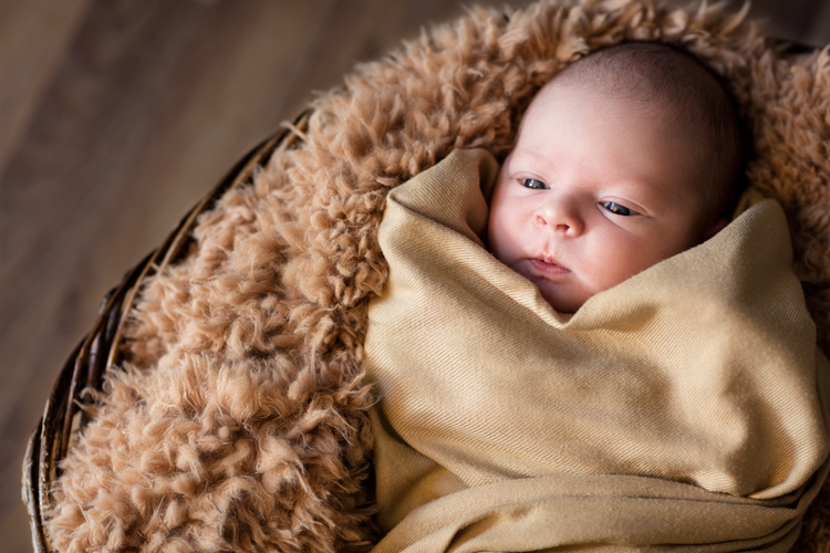 Newborn posing basket best sale