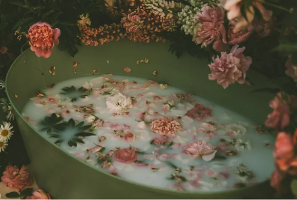 A photo of a milk bath with flower props.