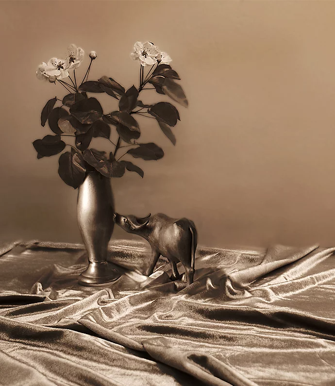 A sepia image of a vase filled with flowers on a table