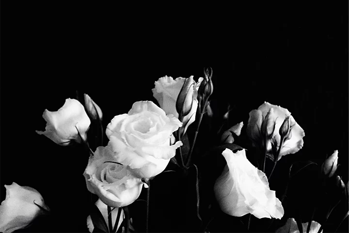 A black-and-white photo of a bouquet of rose flowers