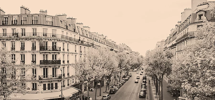 A sepia tone photograph of a car and tree-lined street