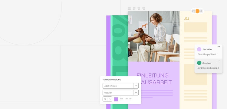 Illustration einer Einleitung einer Hausarbeit mit den Adobe Acrobat Onlinetools