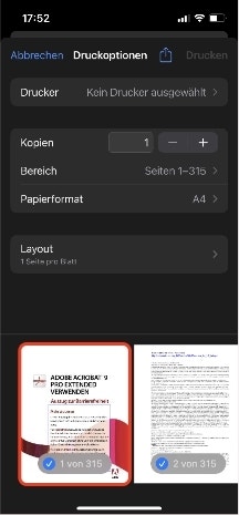 Screenshot zeigt ein Menü im Browser mit verschiedenen Druckoptionen.